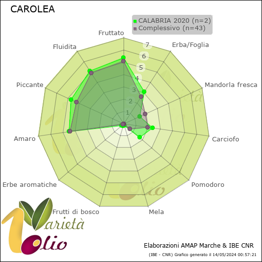 Profilo sensoriale medio della cultivar  CALABRIA 2020